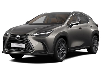 Коврики на Lexus NX II 2021 - 2025 в Саранске