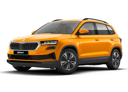 Коврики на Skoda Karoq 2017 - 2025 в Саранске