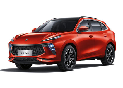 Коврики на Forthing T5 EVO 2020&nbsp;-&nbsp;2026 в Саранске
