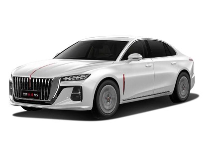 Коврики на Hongqi H5 II 2022 - 2025 в Саранске