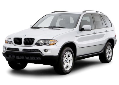 Коврики на BMW X5 (E53) 1999 - 2006 в Саранске