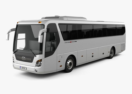 Коврики на Hyundai Universe Space Luxury  в Саранске