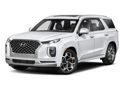 Коврики на Hyundai Palisade 2018 - 2025 в Саранске