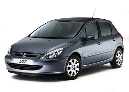 Коврики на Peugeot 307 2001 - 2008 в Саранске