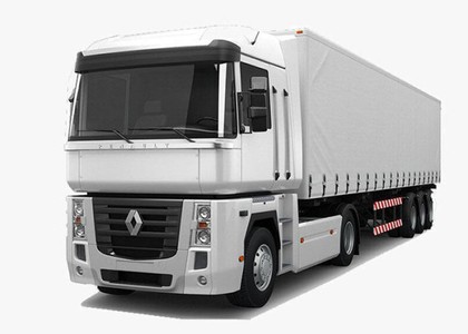 Коврики на Renault Magnum 1990 - 2013 в Саранске