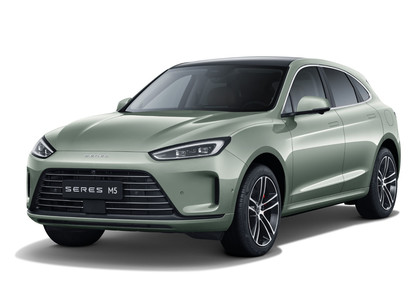 Коврики на Seres M5 2021 - 2025 в Саранске