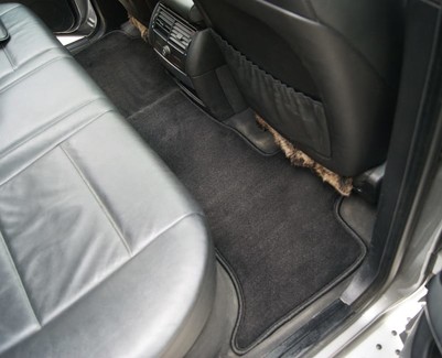 Коврики на BMW X5 (E53) 1999 - 2006 в Саранске