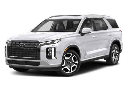 Коврики на Hyundai Palisade 2018 - 2025 в Саранске