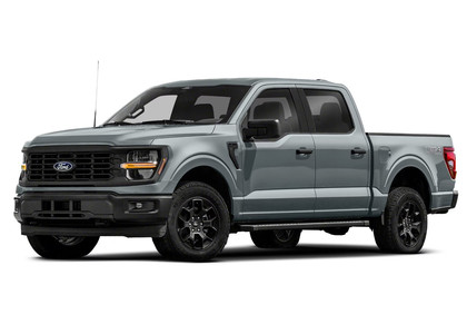 Коврики на Ford F150 2020 - 2025 в Саранске