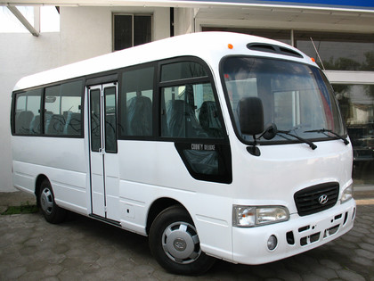 Коврики на Hyundai County 2006 - 2016 в Саранске