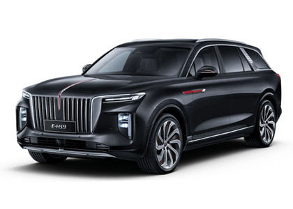 Коврики на Hongqi E-HS9 2022 - 2025 в Саранске