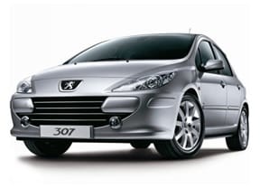 Коврики на Peugeot 307 2001 - 2008 в Саранске