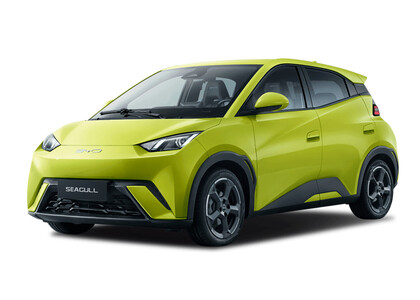 Коврики на BYD Seagull 1 2023&nbsp;-&nbsp;2026 в Саранске