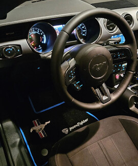 Коврики на Ford Mustang VI 2013&nbsp;-&nbsp;2023 в Саранске