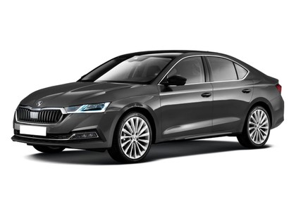 Коврики на Skoda Octavia A8 2019 - 2025 в Саранске
