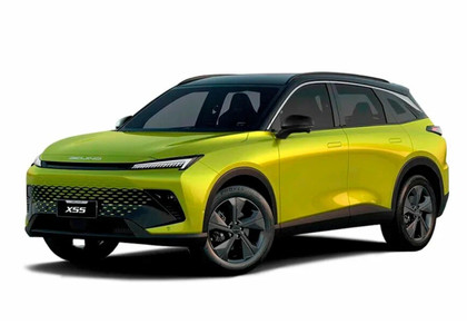 Ворсовые коврики на Baic X55 2022 - 2025 в Саранске