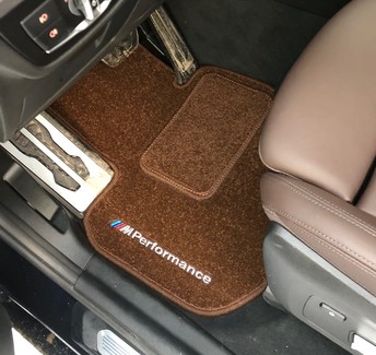 Коврики на BMW X3 (G01) 2017 - 2024 в Саранске