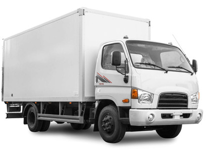 Коврики на Hyundai HD65 HD72 HD78 1997 - 2021 в Саранске