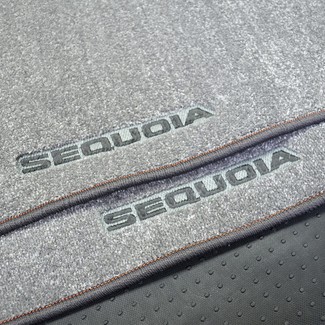 EVA коврики на Toyota Sequoia I 2001 - 2008 в Саранске