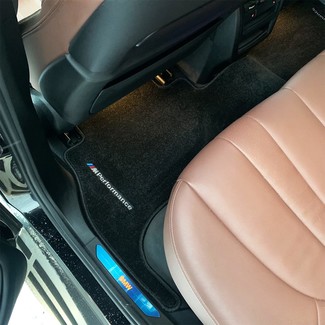 Коврики на BMW X5 (G05/G18) 2018 - 2025 в Саранске