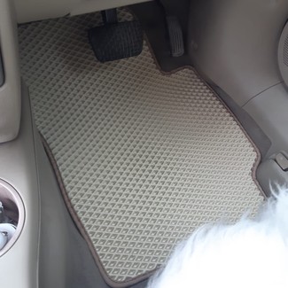 Коврики на Mazda Demio II (DY) 2002 - 2007 в Саранске