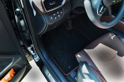 EVA коврики на Hyundai Santa Fe IV 2018 - 2021 в Саранске